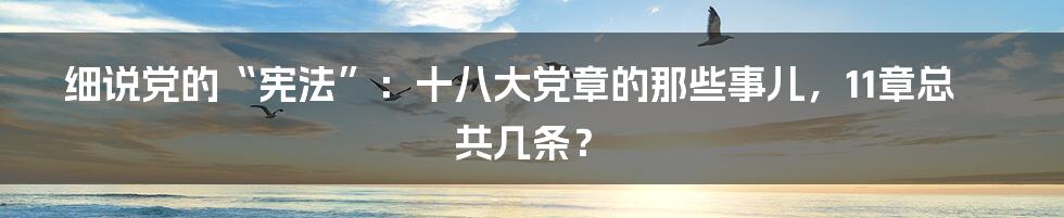 细说党的“宪法”:十八大党章的那些事儿,11章总共几条?