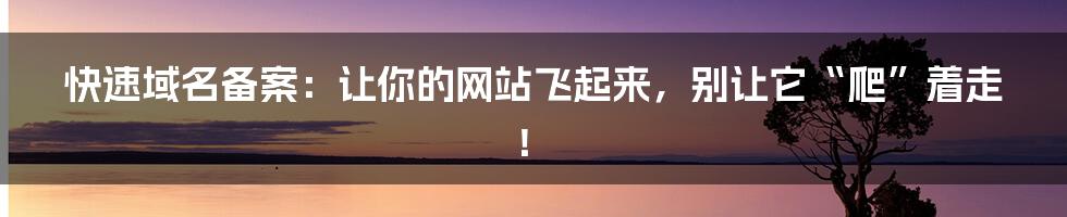 快速域名备案：让你的网站飞起来，别让它“爬”着走！