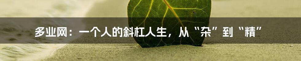 多业网:一个人的斜杠人生,从“杂”到“精”