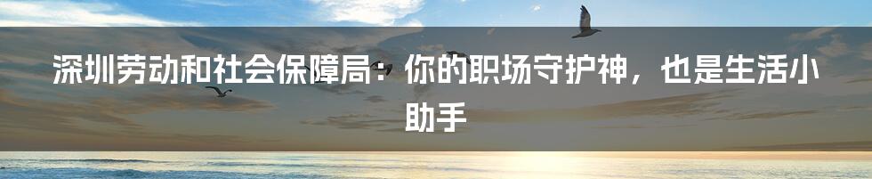 深圳劳动和社会保障局:你的职场守护神,也是生活小助手
