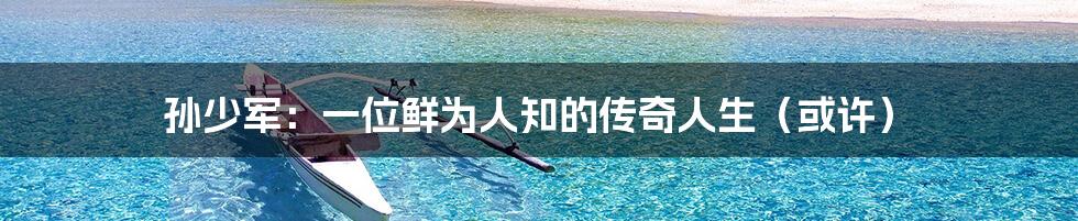 孙少军:一位鲜为人知的传奇人生(或许)