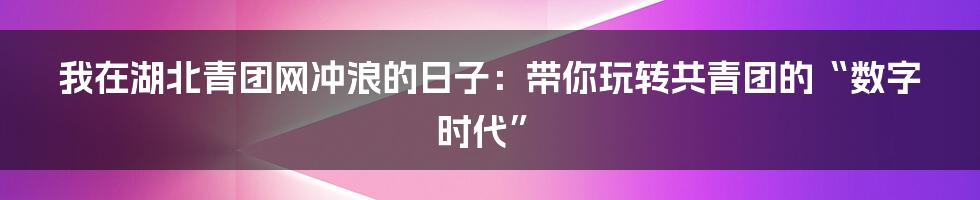 我在湖北青团网冲浪的日子：带你玩转共青团的“数字时代”