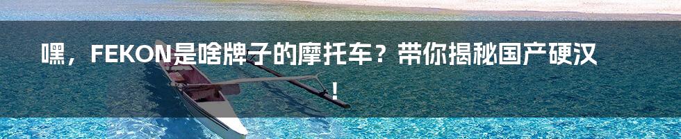 嘿,FEKON是啥牌子的摩托车?带你揭秘国产硬汉!