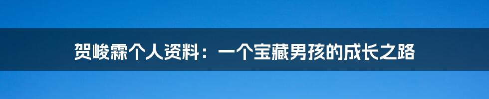 贺峻霖个人资料:一个宝藏男孩的成长之路