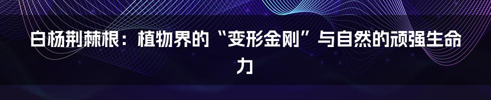 白杨荆棘根：植物界的“变形金刚”与自然的顽强生命力