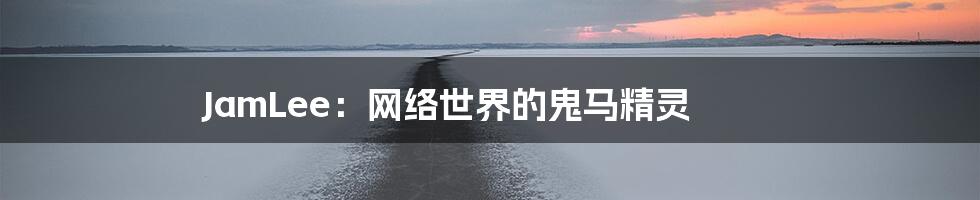 JamLee：网络世界的鬼马精灵