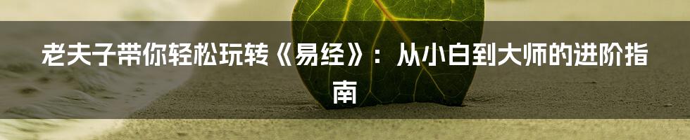 老夫子带你轻松玩转《易经》：从小白到大师的进阶指南