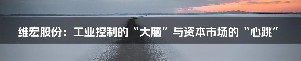 维宏股份:工业控制的“大脑”与资本市场的“心跳”