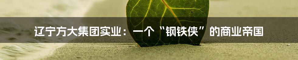 辽宁方大集团实业：一个“钢铁侠”的商业帝国