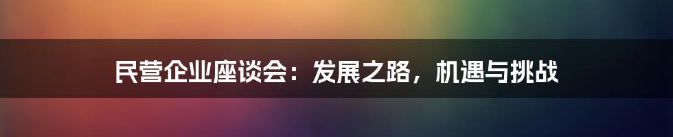 民营企业座谈会：发展之路，机遇与挑战