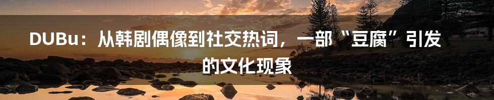 DUBu:从韩剧偶像到社交热词,一部“豆腐”引发的文化现象