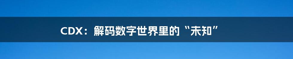 CDX:解码数字世界里的“未知”