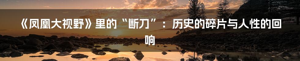 《凤凰大视野》里的“断刀”:历史的碎片与人性的回响