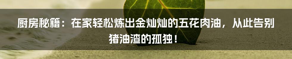 厨房秘籍：在家轻松炼出金灿灿的五花肉油，从此告别猪油渣的孤独！