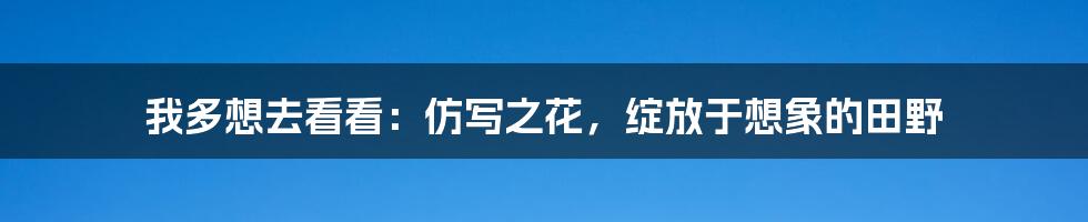 我多想去看看:仿写之花,绽放于想象的田野