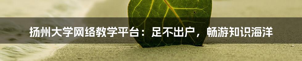 扬州大学网络教学平台:足不出户,畅游知识海洋