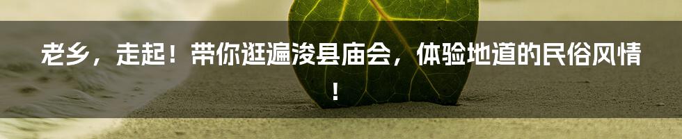 老乡，走起！带你逛遍浚县庙会，体验地道的民俗风情！