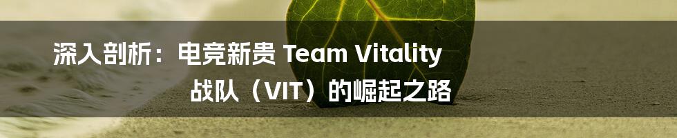 深入剖析：电竞新贵 Team Vitality 战队（VIT）的崛起之路