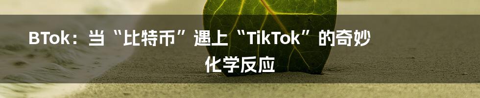 BTok：当“比特币”遇上“TikTok”的奇妙化学反应
