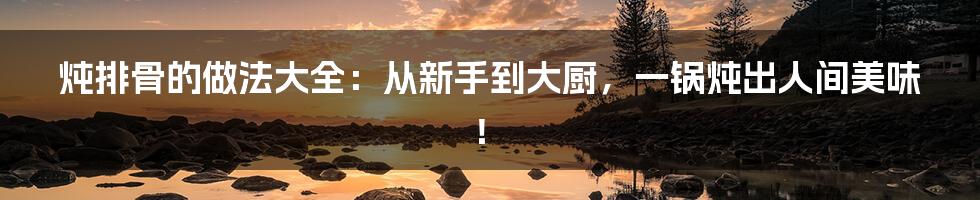 炖排骨的做法大全:从新手到大厨,一锅炖出人间美味!