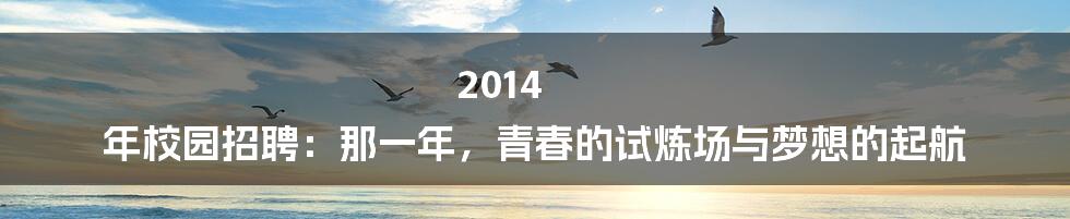 2014 年校园招聘:那一年,青春的试炼场与梦想的起航