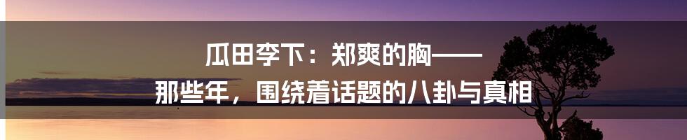 瓜田李下:郑爽的胸—— 那些年,围绕着话题的八卦与真相