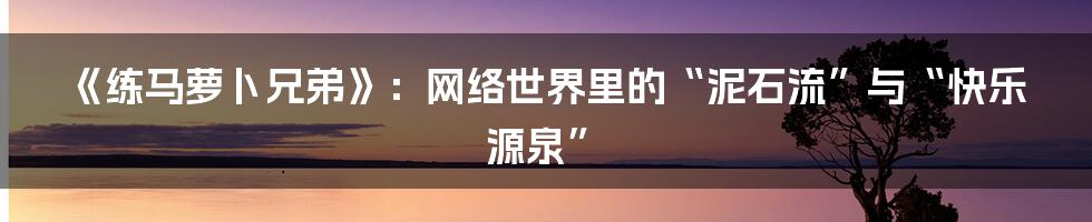 《练马萝卜兄弟》:网络世界里的“泥石流”与“快乐源泉”