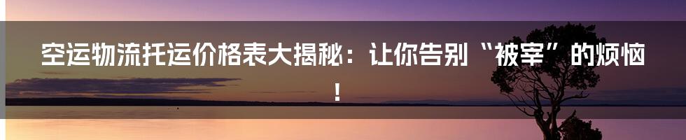 空运物流托运价格表大揭秘：让你告别“被宰”的烦恼！