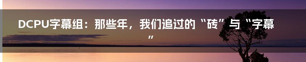 DCPU字幕组：那些年，我们追过的“砖”与“字幕”