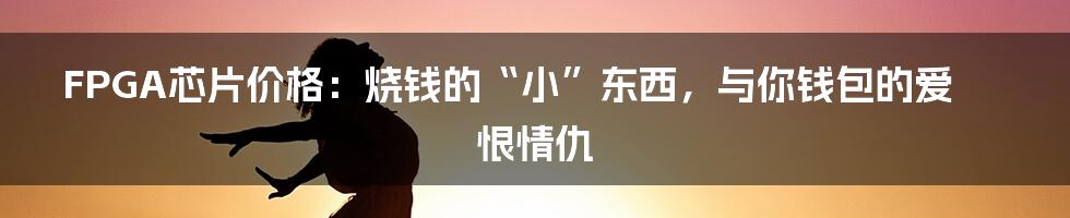 FPGA芯片价格：烧钱的“小”东西，与你钱包的爱恨情仇