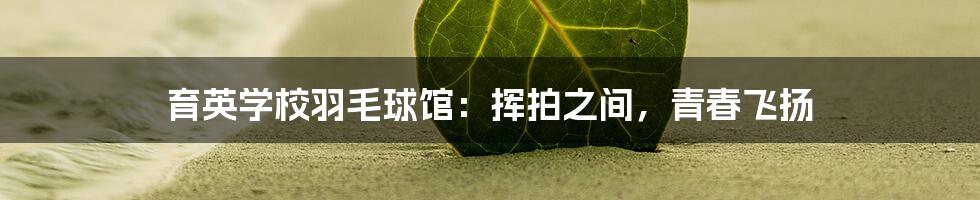 育英学校羽毛球馆：挥拍之间，青春飞扬