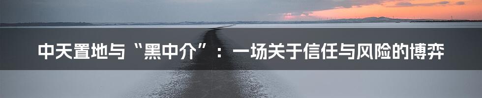 中天置地与“黑中介”：一场关于信任与风险的博弈