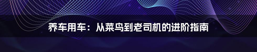 养车用车：从菜鸟到老司机的进阶指南