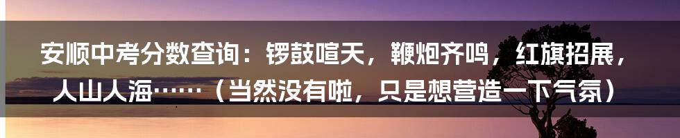 安顺中考分数查询：锣鼓喧天，鞭炮齐鸣，红旗招展，人山人海……（当然没有啦，只是想营造一下气氛）