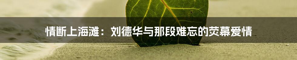 情断上海滩:刘德华与那段难忘的荧幕爱情