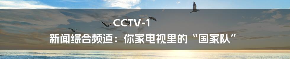 CCTV-1 新闻综合频道:你家电视里的“国家队”