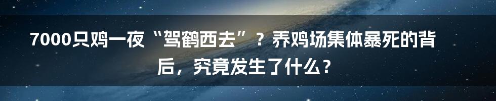 7000只鸡一夜“驾鹤西去”?养鸡场集体暴死的背后,究竟发生了什么?