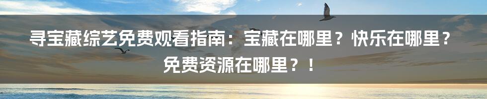 寻宝藏综艺免费观看指南:宝藏在哪里?快乐在哪里?免费资源在哪里?!