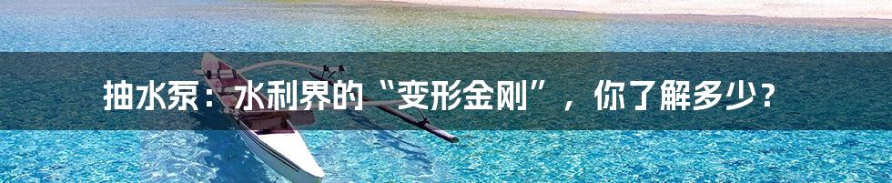 抽水泵：水利界的“变形金刚”，你了解多少？
