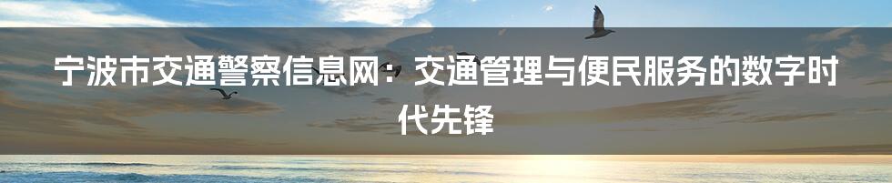 宁波市交通警察信息网：交通管理与便民服务的数字时代先锋