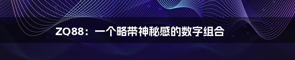 ZQ88:一个略带神秘感的数字组合