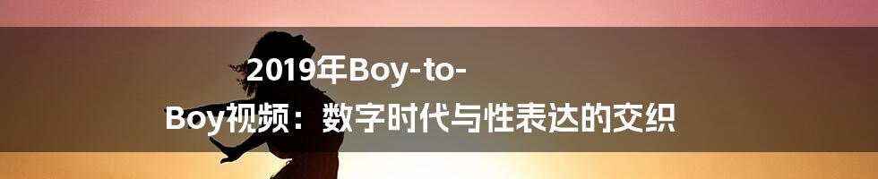 2019年Boy-to-Boy视频:数字时代与性表达的交织