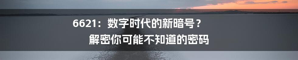 6621：数字时代的新暗号？ 解密你可能不知道的密码