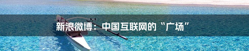 新浪微博：中国互联网的“广场”