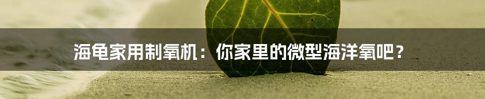 海龟家用制氧机:你家里的微型海洋氧吧?