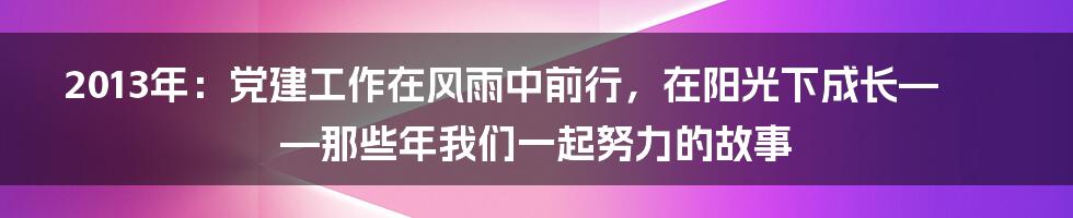 2013年：党建工作在风雨中前行，在阳光下成长——那些年我们一起努力的故事