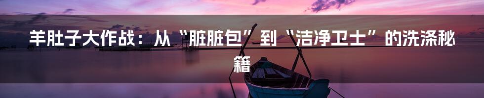 羊肚子大作战：从“脏脏包”到“洁净卫士”的洗涤秘籍