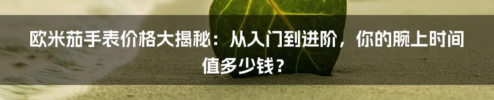 欧米茄手表价格大揭秘:从入门到进阶,你的腕上时间值多少钱?