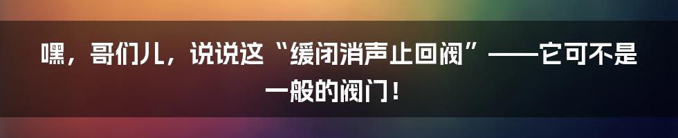 嘿,哥们儿,说说这“缓闭消声止回阀”——它可不是一般的阀门!