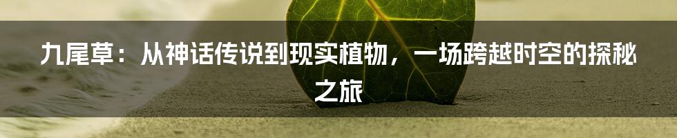 九尾草：从神话传说到现实植物，一场跨越时空的探秘之旅